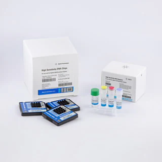 Bioanalyzer High Sensitivity DNA Analysis